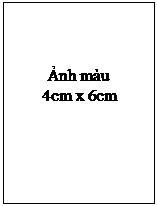 Text Box: Ảnh màu
4cm x 6cm
