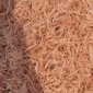 Giới thiệu sản phẩm moi khô của Quảng Hùng.