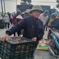 Thực hiện dự án Giảm nghèo bền vững trên địa bàn xã Quảng Hùng.
